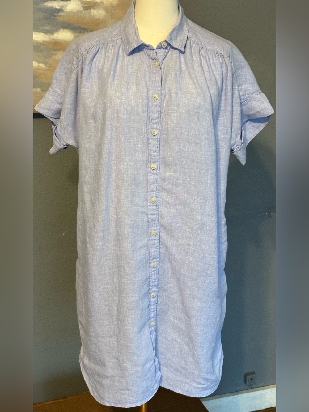 J. Crew Baird McNutt 100% Irish Linen Blue Button Up Short Sleeve Mini Dress S